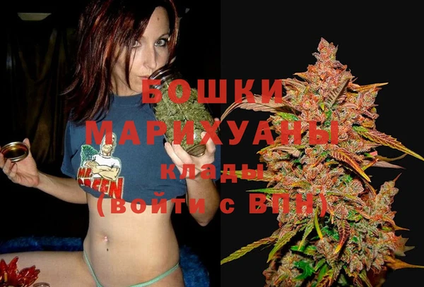 метадон Горнозаводск