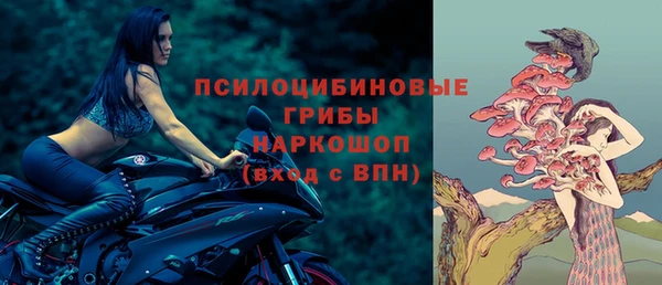 прущий лед Горно-Алтайск
